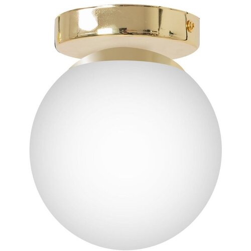 Toolight lampa viseća APP1156-1C gold Cijene