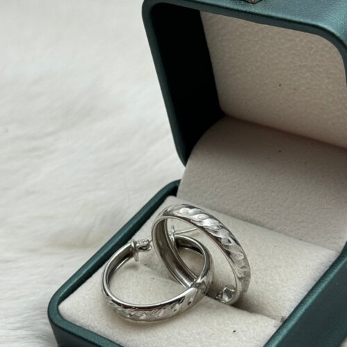  Srebrene naušnice Cijene