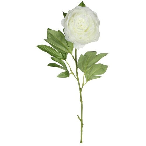  Umjetni cvijet Božur (Blanca, Visina: 76 cm, Plastika) Cene