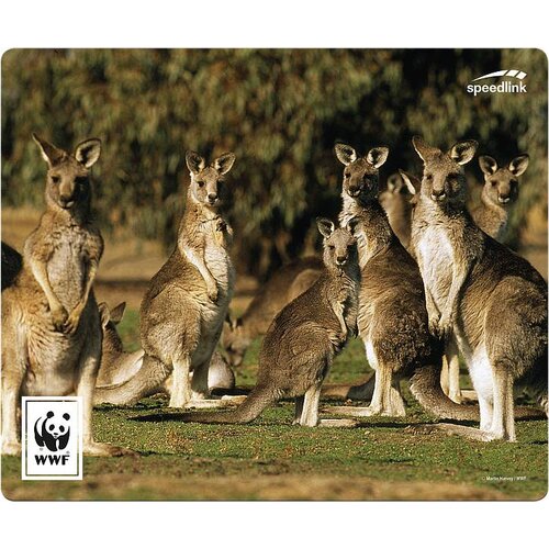 Speedlink TERRA WWF podloga za mi&amp;scaron;ko večbarvna (&amp;Scaron; x V x G) 230 x 190 x 3 mm, (20460884) Slike