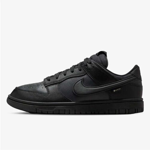 Nike dunk low gtx Cene
