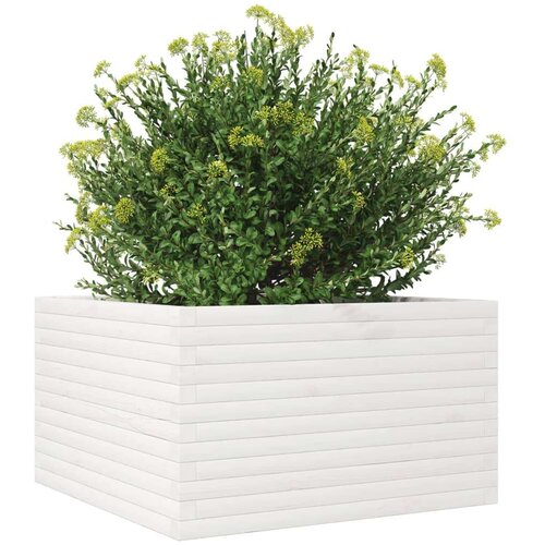  Vrtna sadilica bijela 80x80x45 5 cm od masivne borovine Slike