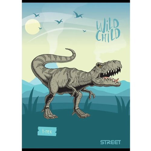 STREET Zvezek Dinosaurs A4 karo Slike