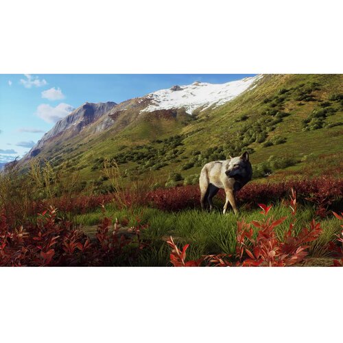 Thq Nordic Of The Hunter Wild Expeditions /PS5 Cijene