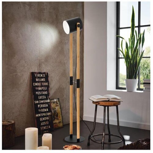 Eglo podna lampa-Hornwood 43048 Slike