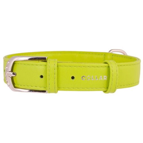 CLR WD 25 cm -Ogrlica za pse 19 Cene