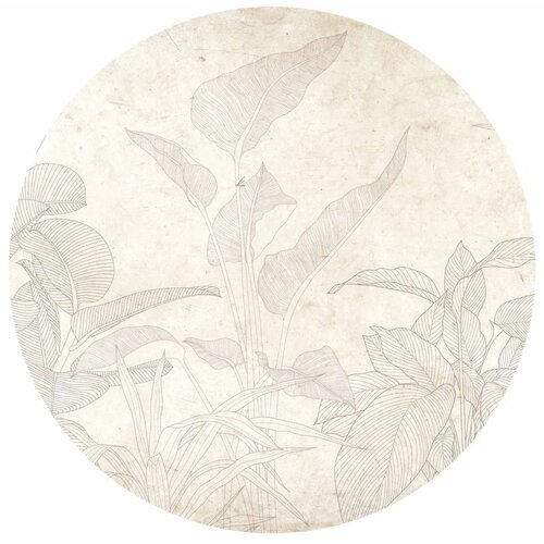  Okrugla fototapeta - Subtle exotic plants 280x280 Slike