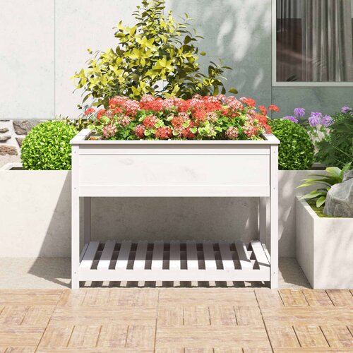  Sadilica s policom bijela 111,5x111,5x81 cm od masivne borovine Slike