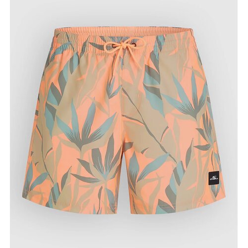O&amp;#039;neill Print 16&amp;#039;&amp;#039; Boardshorts orange tropicana big Slike