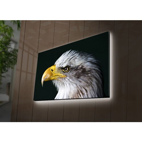 Wallity Slika sa LED osvetljenjem 4570DACT-63, 45x70 cm Cene