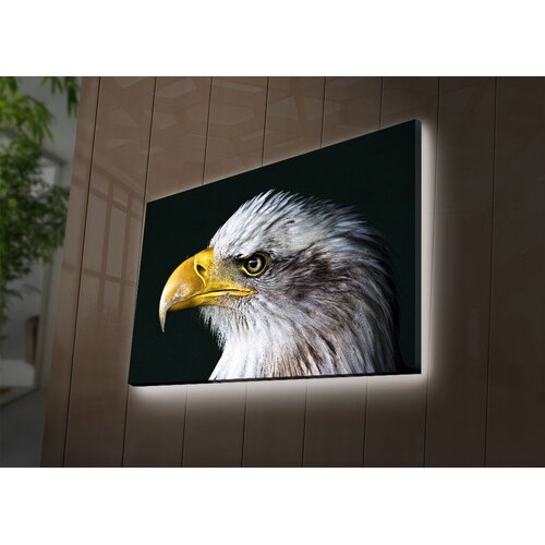 Wallity Zidna slika sa LED osvetljenjem 4570DACT-63, 45x70 cm Cijene