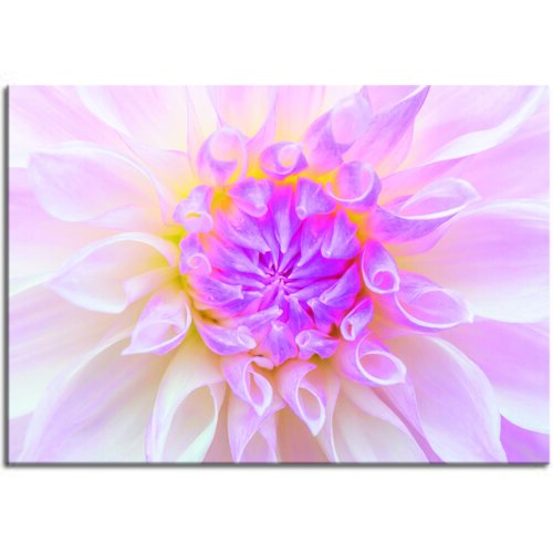 Pintdecor Zidni ukras Pink spring Cene