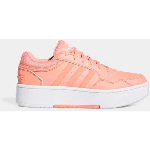 Adidas Nizke superge Baskets Hoops 3.0 Bold multicolores Večbarvna Slike