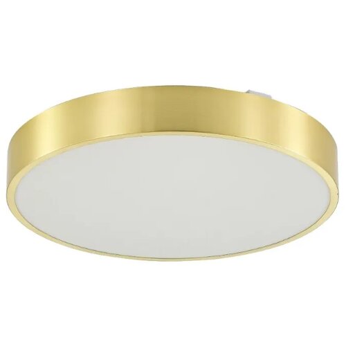ZUMA LINE Poland LED plafonska svetiljka NADI zlatna R400 RGB CCT ZUMA LINE Cene
