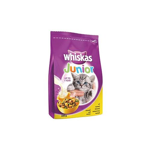  Hrana za mačke Whiskas dry chicken Junior 300g Cijene