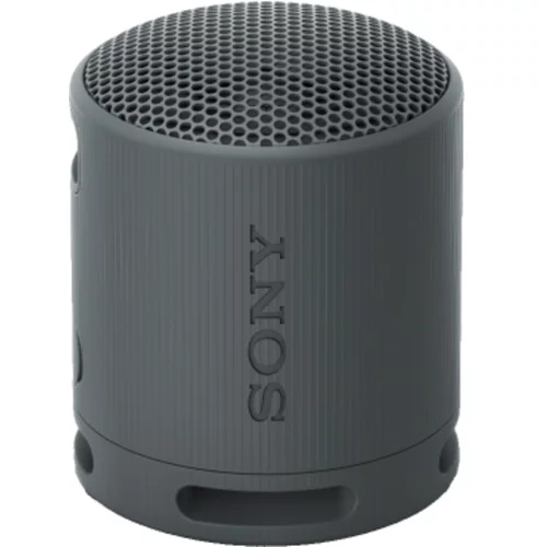 Sony bluetooth zvočnik SRSXB100H, siv