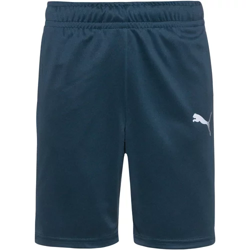 Puma Športne hlače 'Active Sports' dimno modra / petrol / oranžna