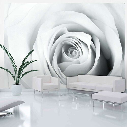  Tapeta - Rose charade 350x245 Cijene