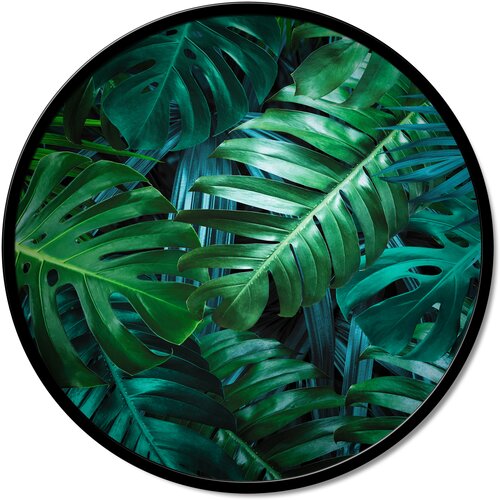 Pintdecor Zidni ukras Giungla Cijene