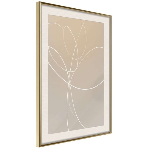  Poster - White Tulip 30x45 Slike