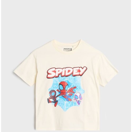 Sinsay Majica kratkih rukava Spider-Man Cijene
