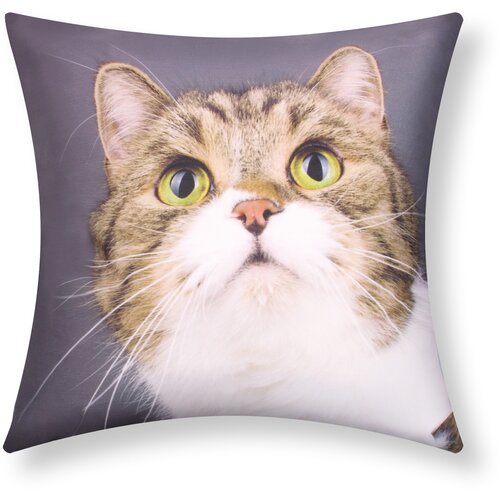 AVIZAR Komplet 2 prevlek za blazino 40x40 cm Mačja muca (Cat Whiskers Design), Večbarvno, (21747242) Cene