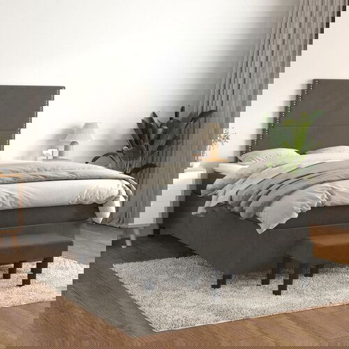 The Living Store Box spring postelja z vzmetnico temno siva 120x200 cm žamet - Box Spring Postelja, (21489882) Cene