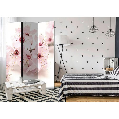 Artgeist Paravan Cherry Blossom, 3-Delni, Akustičen Slike