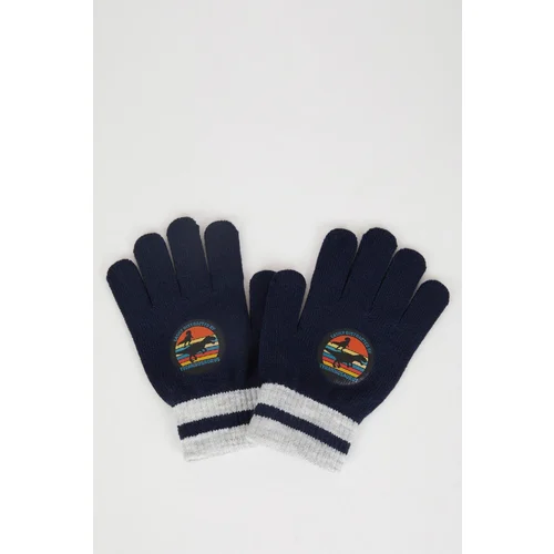  Boy Printed Knitted Gloves