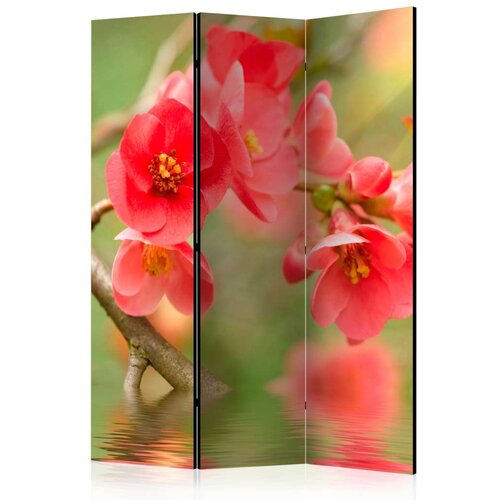  Paravan u 3 dijela - Azalea reflected in the water [Room Dividers] 135x172 Slike