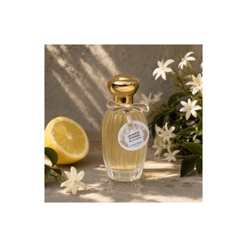Annick Goutal Un Matin D&amp;#039;Orage toaletna voda za žene 100 ml Slike