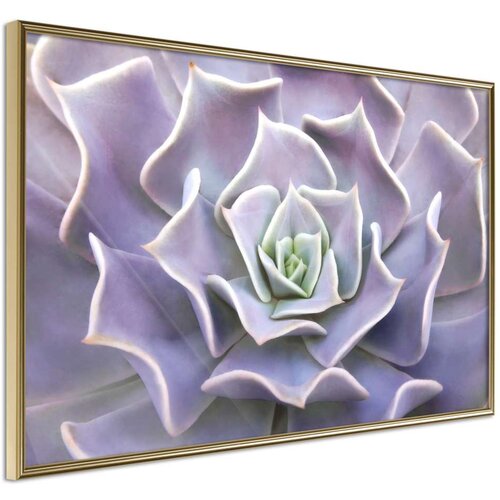 Poster - Like a Flower 90x60 Cijene