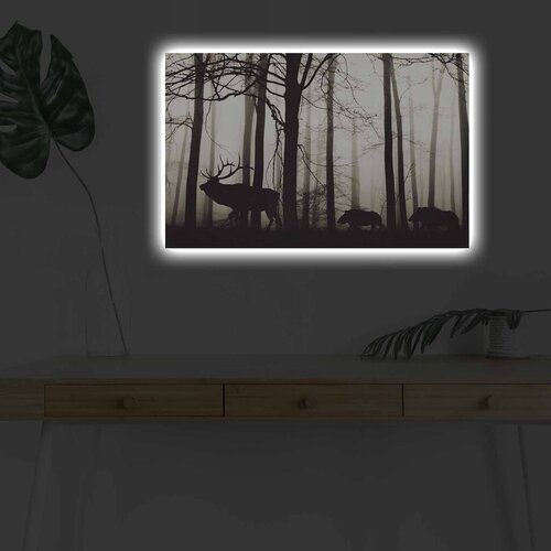Wallity Zidna slika sa LED osvetljenjem 4570DHDACT-080, 45x70 cm Cijene