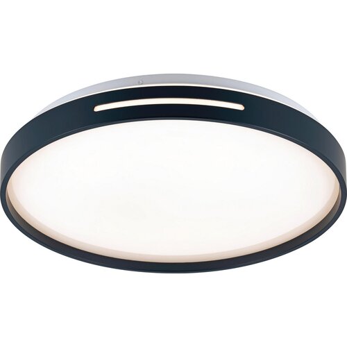Lesnina-XXXL stropna led-svetilka june 38/6 cm Cene