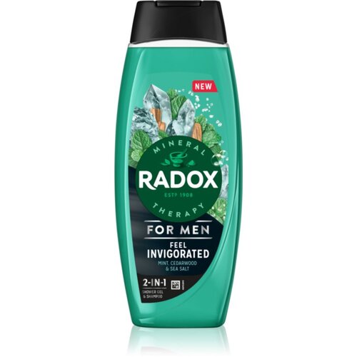 RADOX Feel Invigorated gel za prhanje za mo&scaron;ke 2 v 1 450 ml Cene