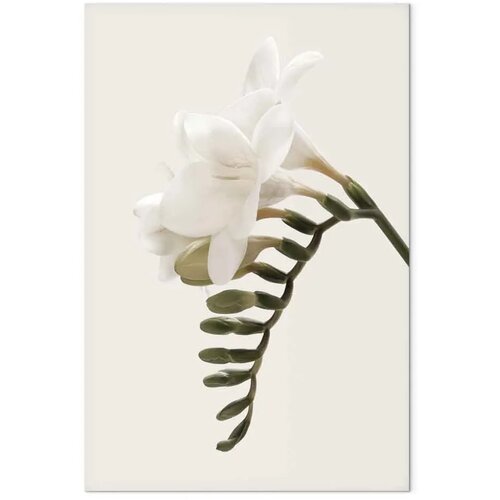  Slika - Spring Headdress (1 Part) Vertical 80x120 Slike