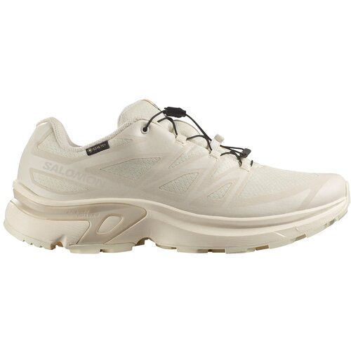 Salomon Xt-Evr Gtx patike Cene