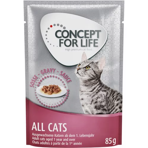 Concept for Life All Cats - izboljšana receptura! - Kot dopolnilo: 12 x 85 g All Cats v omaki