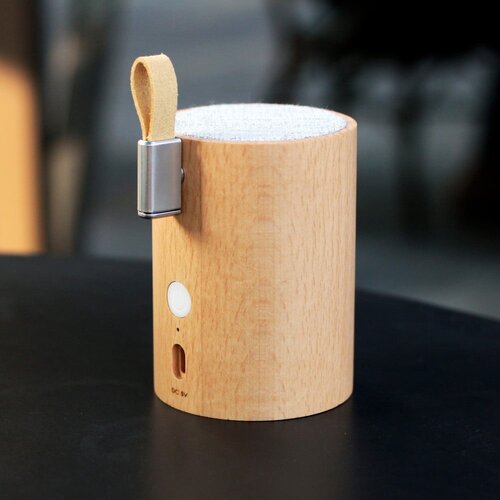 Gingko Zvočnik Bluetooth iz bukovega lesa Drum Cene