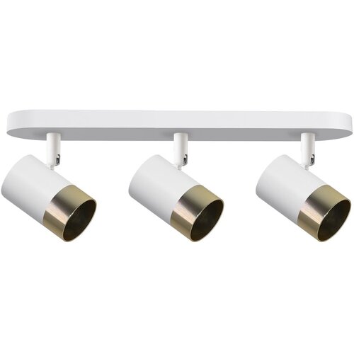 Candellux Lighting Bela/zlata stropna svetilka s kovinskim senčilom 44x5.5 cm Tobi &amp;ndash; Slike