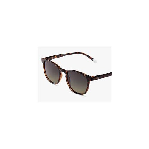 Barner Suncane naocare Dalston/Glossy Tortoise Slike