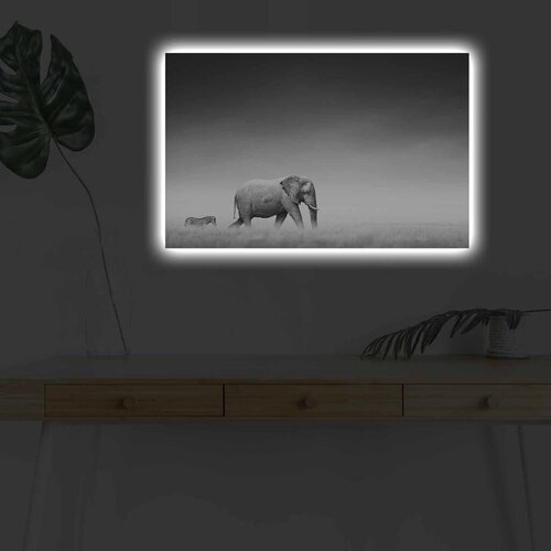 Wallity Slika sa LED osvetljenjem 4570DHDACT-099, 45x70 cm Cene