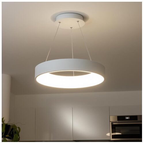 Brilagi LED prigu&amp;scaron;iva luster na sajli FALCON LED/80W/230V 3000-6500K + daljinski upravljač Slike
