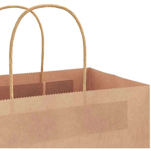  Papirnate vrečke 250 kosov z ročaji rjave barve 32x12x42 cm, (5000160857) Slike