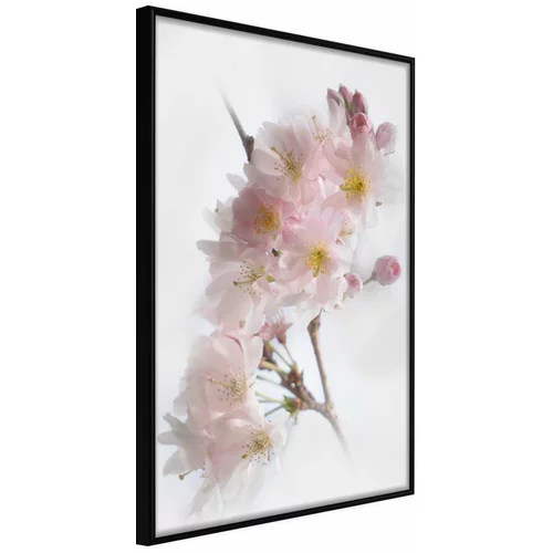  Poster - Scent of Spring 20x30