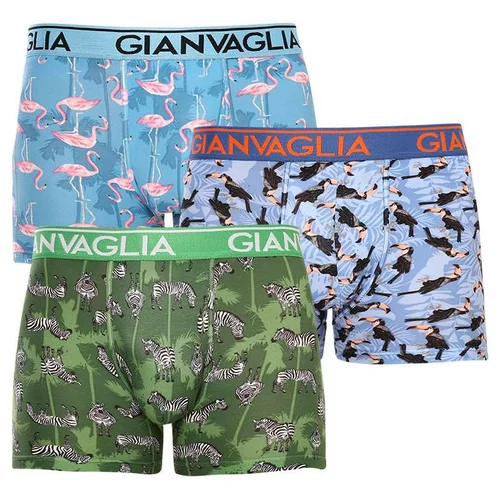 Gianvaglia 3PACK men's boxers multicolor (GVG-5501)