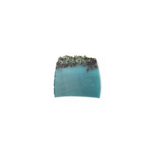 Lush sapun za ruke i tijelo Sea Vegetable Cijene
