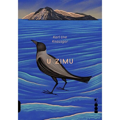Booka Karl Uve Knausgor
 - U zimu Slike