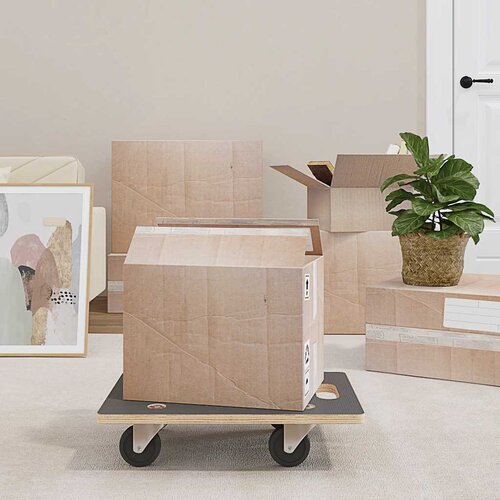  Transportna kolica 2 kom pravokutna 50 x 35 x 11,5 cm 250 kg Cijene