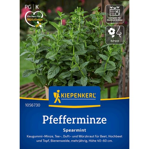 KIEPENKERL Poprova meta Spearmint - 1 pkt. Slike